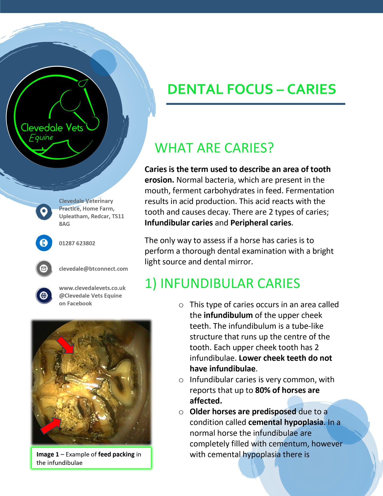 Equine Dentistry - Caries 1