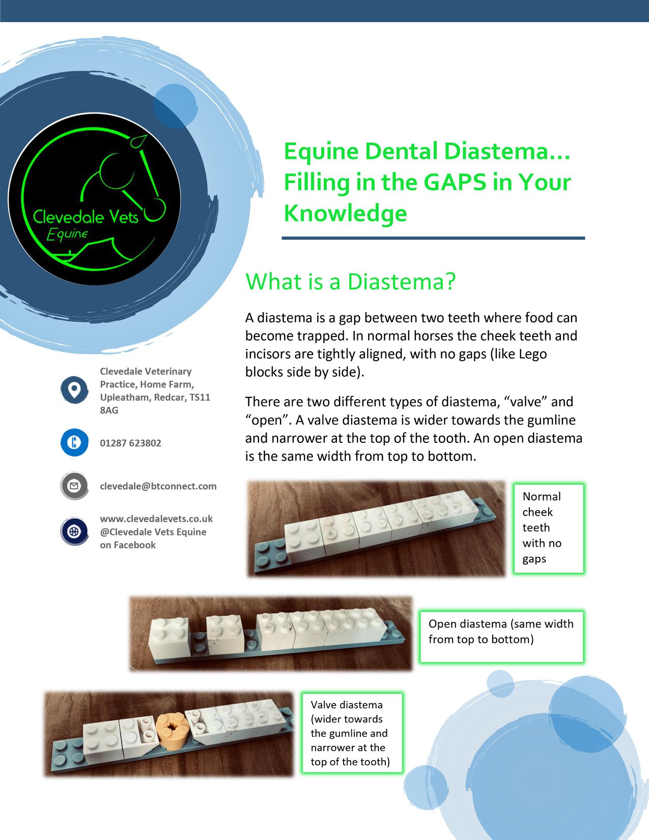Equine Dental Diastema 3