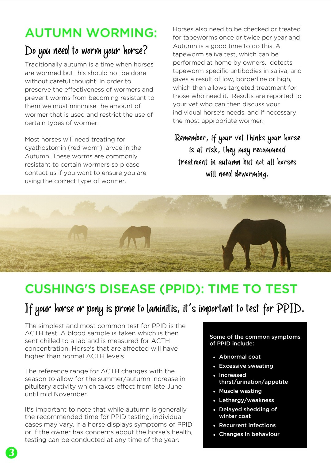 Equine Colic Awareness 5