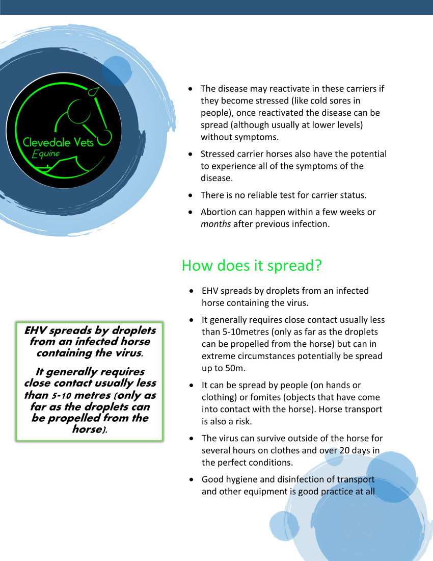 Equine Herpes Virus (EHV) 2