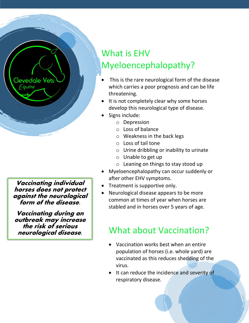 Equine Herpes Virus (EHV) 4