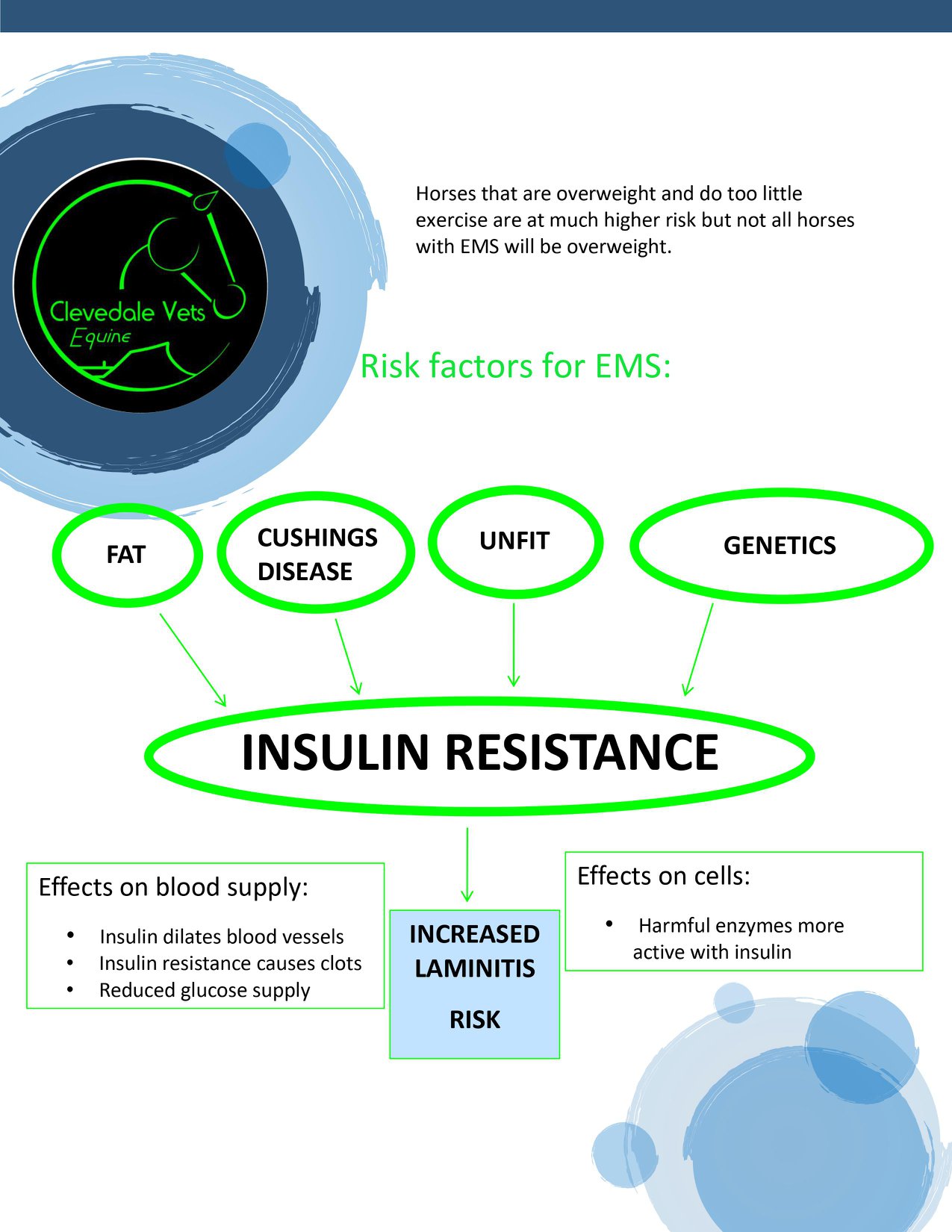 Equine Metabolic Syndrome (EMS) 2