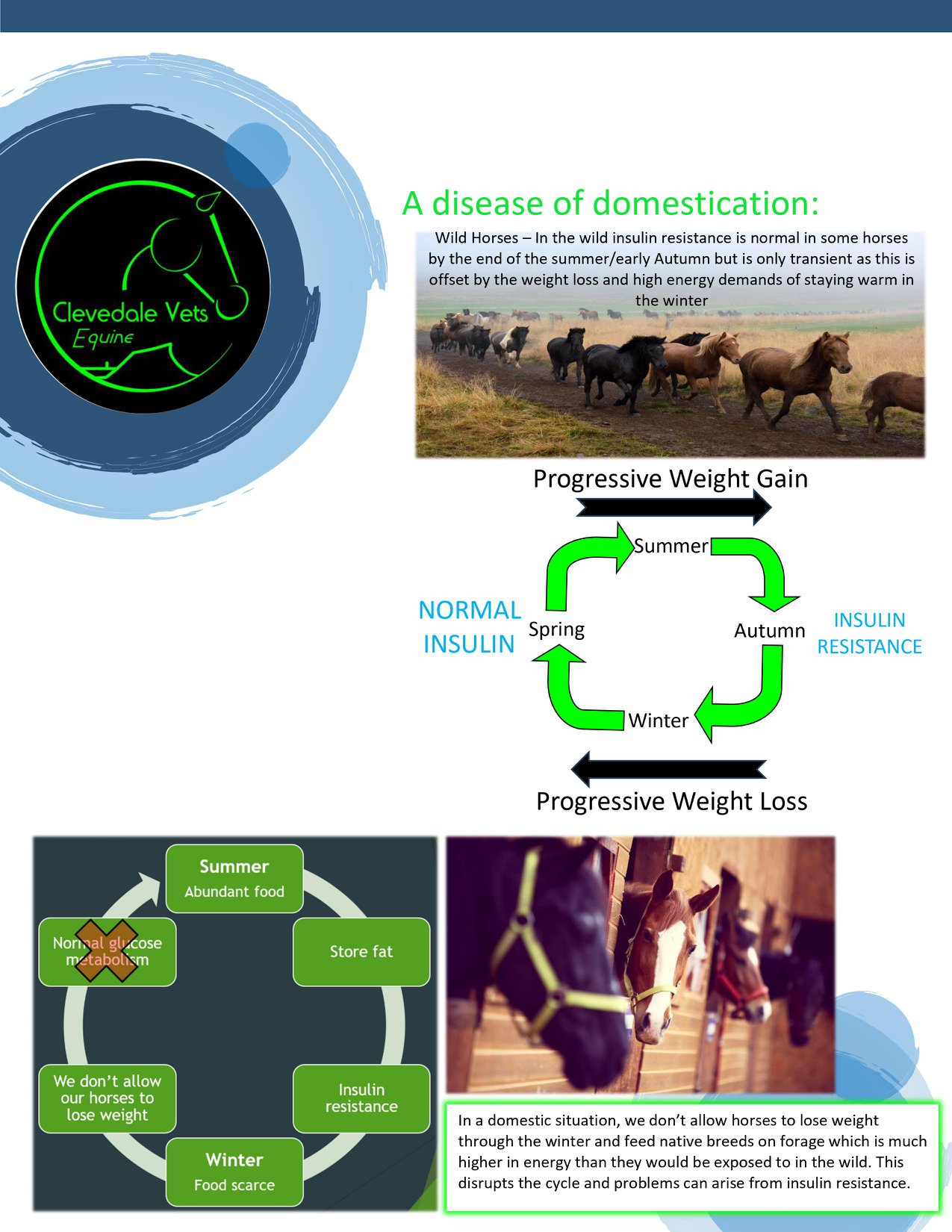 Equine Metabolic Syndrome (EMS) 3