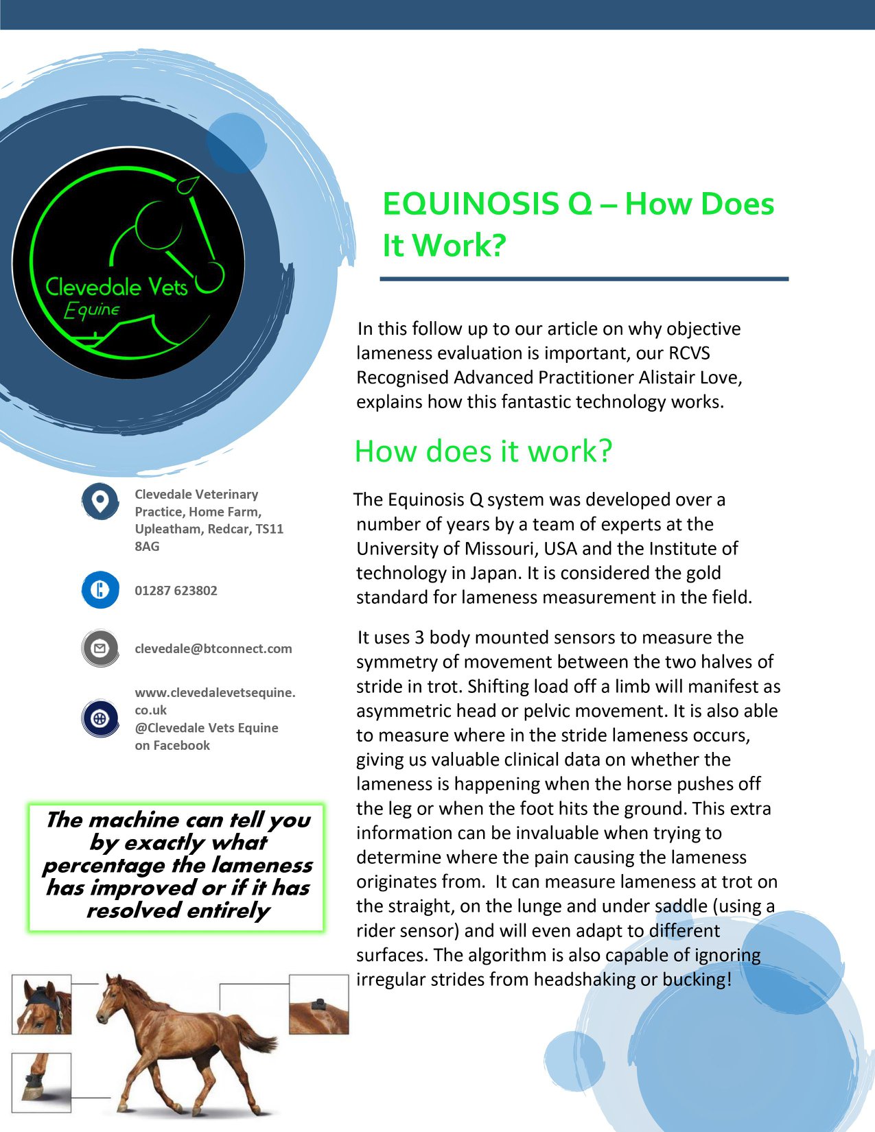 Equinosis Q 1