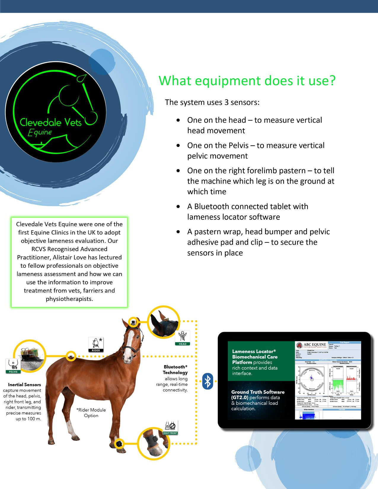 Equinosis Q 2