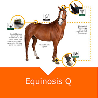 Equinosis
