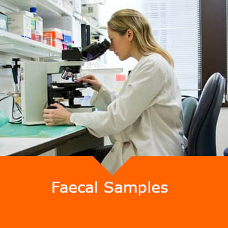 Equine Faecal Samples