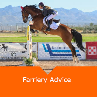 Equine Farriery Advice