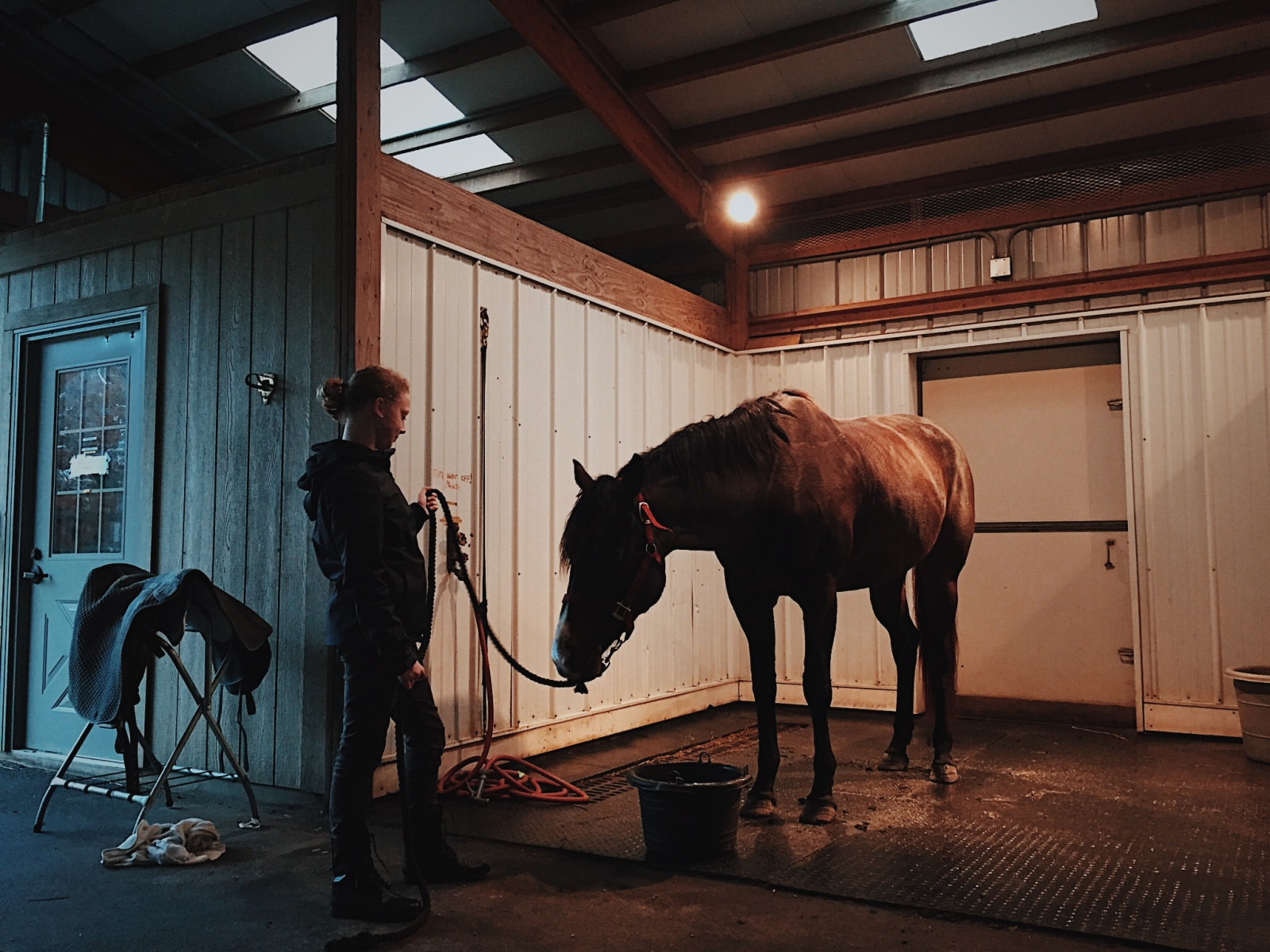 Equine Vets Free Yard Routine Visits 3