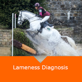 Equine Lameness