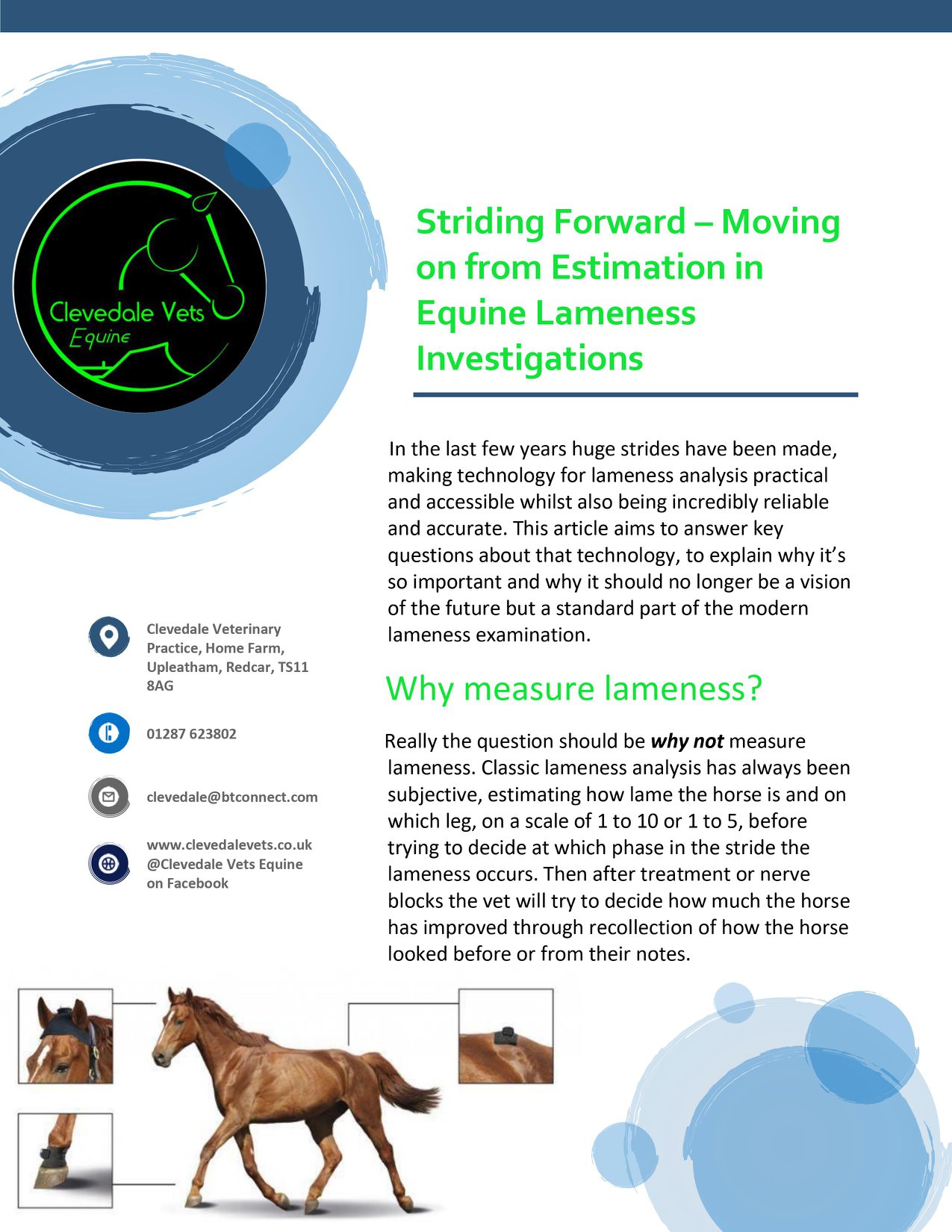 Equine Lameness Investigations 1