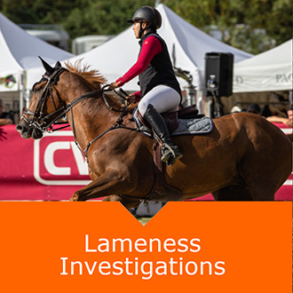 Equine Lameness