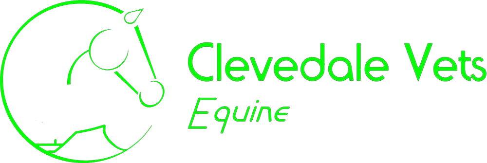 Visit Clevedale Equine Veterinary Practice home page