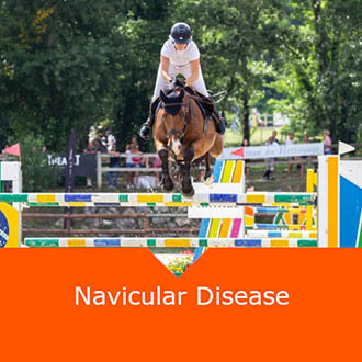 Equine Navicular Disease
