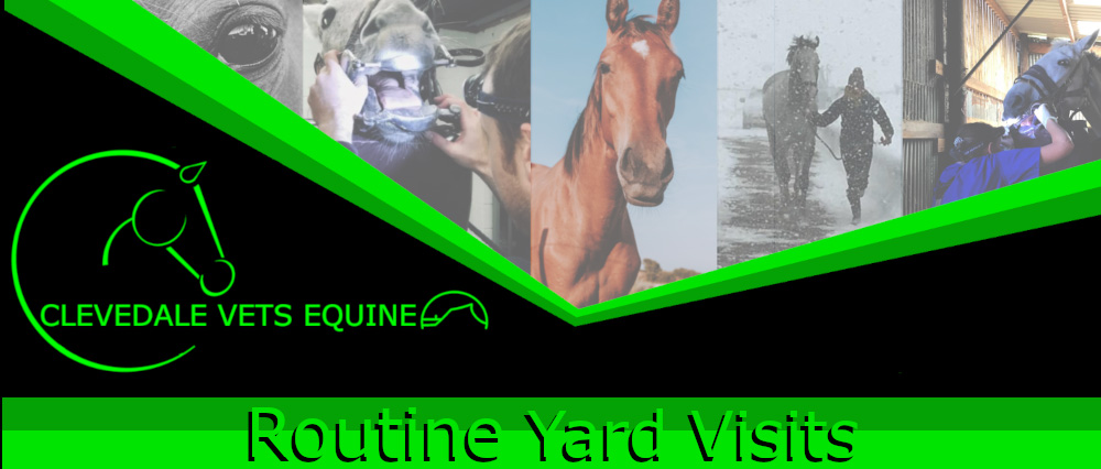 Equine Vets Free Yard Routine Visits
