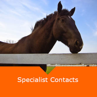 Equine Specialist