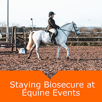 Equine Staying Bio Secure