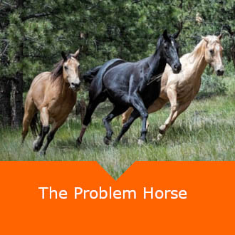 Problem Horse