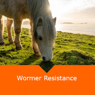 Equine Wormer Resistance